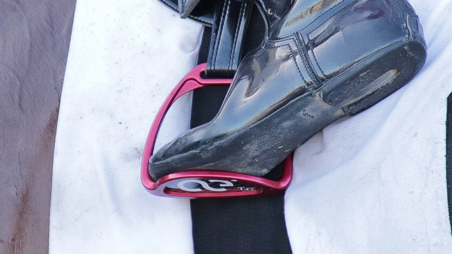 American Equus SS77 <br/>| Thoroughbred Stirrups Irons
