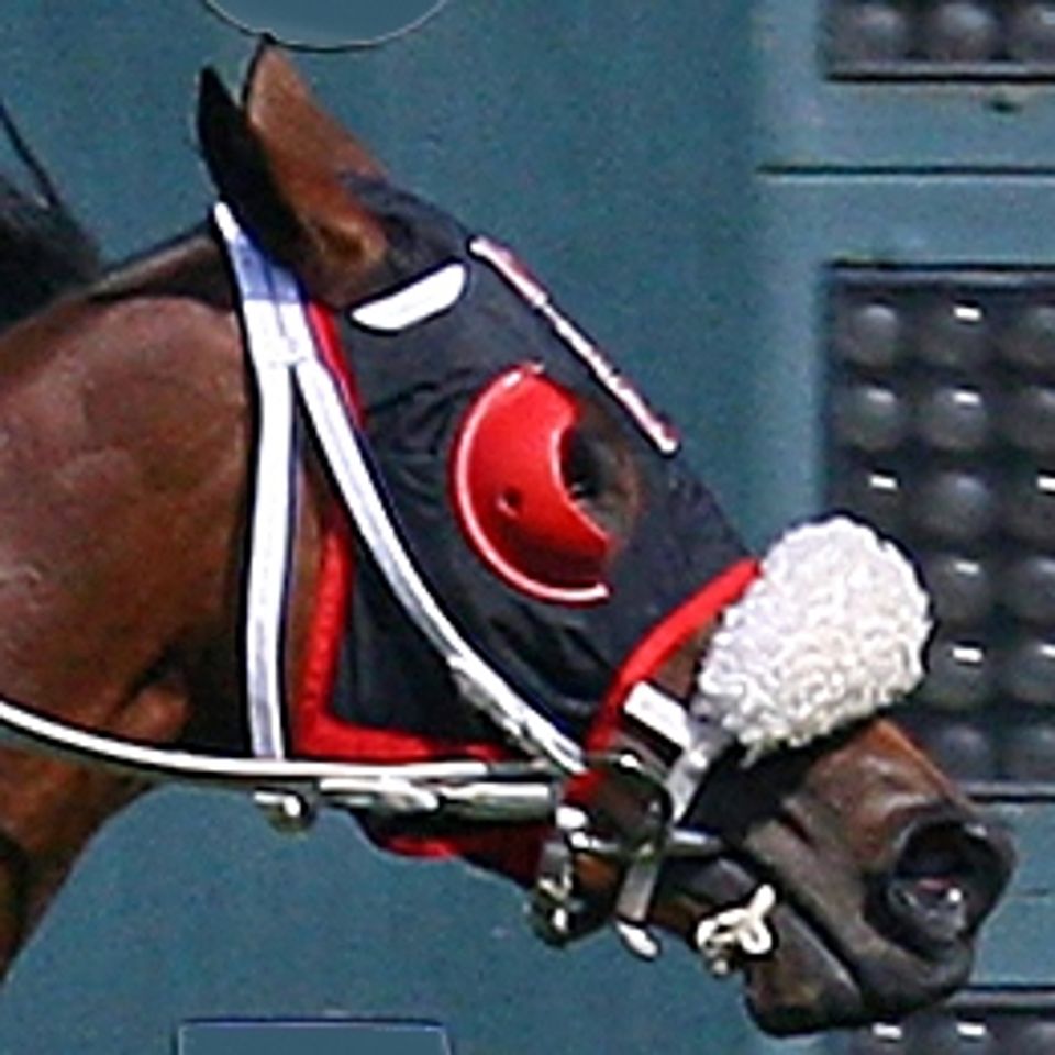 Red nylon Equiwin horse replacement hood with double stitching and elastic fit for racing