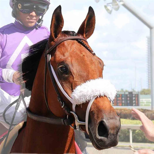 Equiwin large red soft fleece shadow roll replacement for horse bridles, designed for anti-spooking purposes.