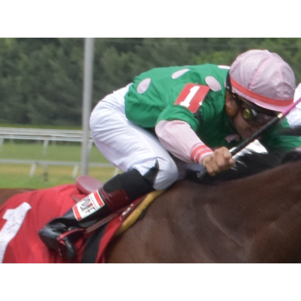 Equiwin ultra-lightweight black jockey racing pants with breathable fabric and aerodynamic design