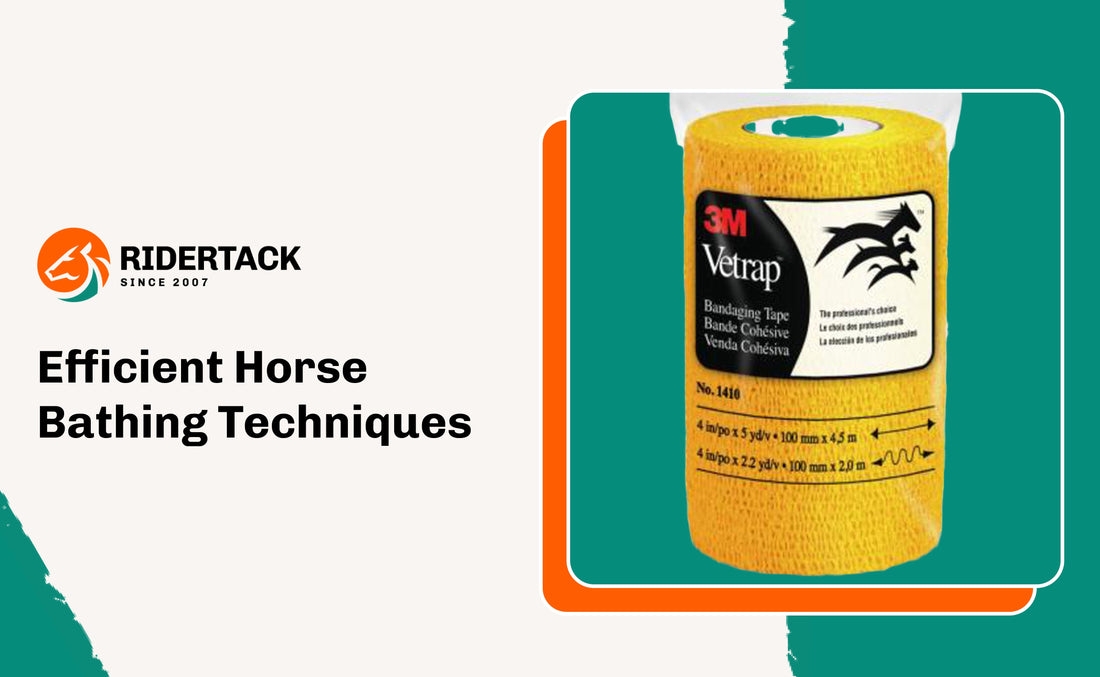 Efficient Horse Bathing Techniques