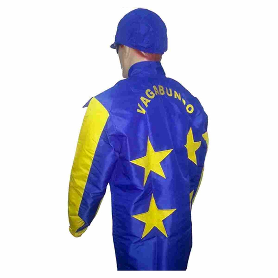 Traditional racing silks detail view